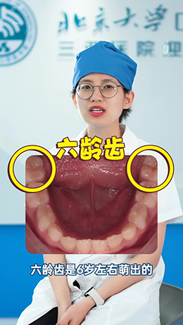 什么是六齡齒？